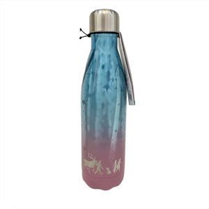 Swell | Disney Frozen stainless steel water bottle
